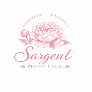 chatgpt image jan 31, 2026, 09 30 21 am